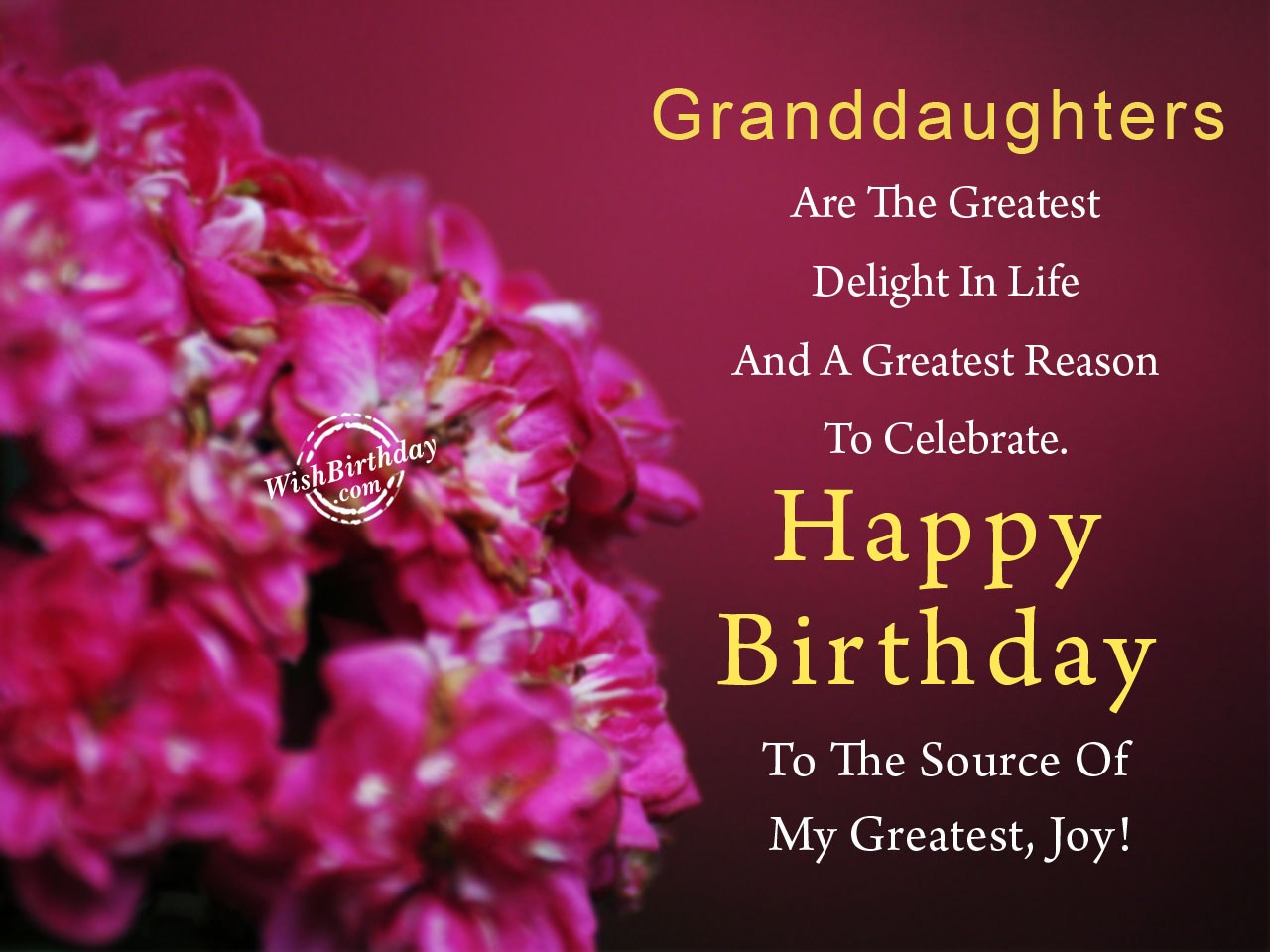 Granddaughters Are The Greatest Delight In Life Happy Birthday 